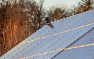 orientación e inclinación de los Paneles solares