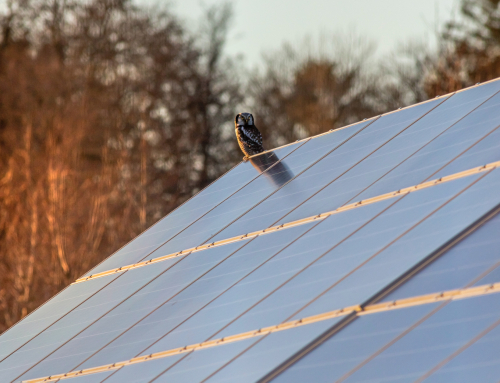 Orientación Placas Solares e Inclinación: Guía Completa para Optimizar la Energía Solar