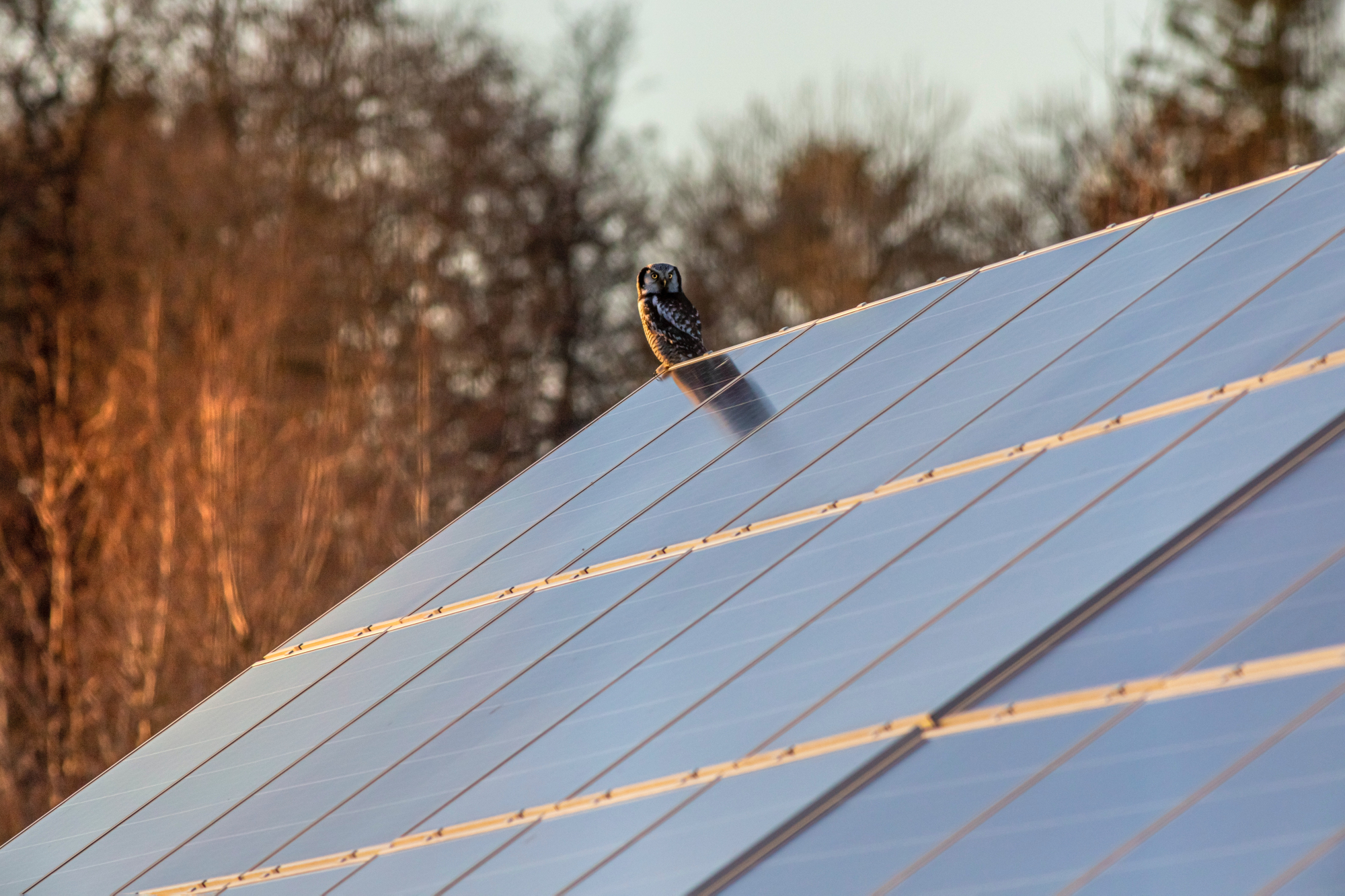 orientación e inclinación de los Paneles solares